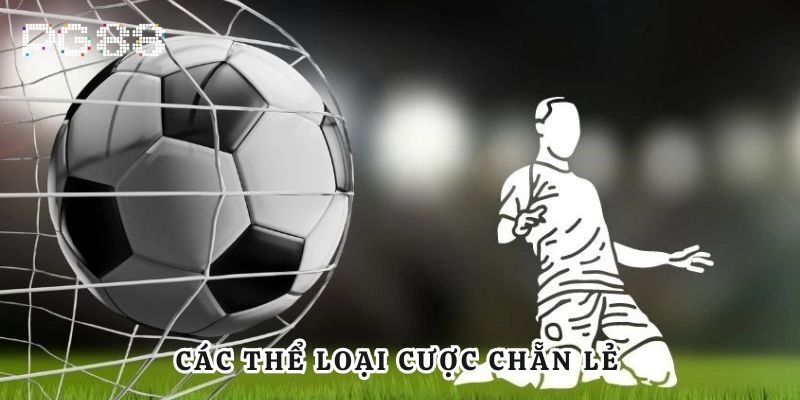 Kèo Chẵn Lẻ - Cách Chơi Chi Tiết Và Bí Quyết Chiến Thắng Các thể loại cược chẵn lẻ