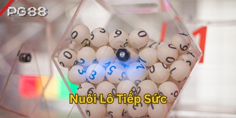 Bí Quyết Nuôi Lô Tiếp Sức Bạch Thủ Khung 7 Ngày Hiệu Quả Cách vào tiền trong Nuôi Lô Tiếp Sức