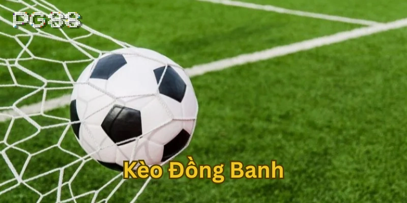 Kèo Đồng Banh - Cách Soi Kèo Đỉnh Cao Từ Chuyên Gia Chiến thuật soi Kèo Đồng Banh hiệu quả