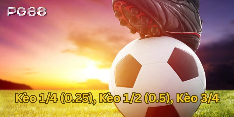 Tìm Hiểu Chi Tiết Về Kèo 1/4 (0.25), Kèo 1/2 (0.5), Kèo 3/4 Khám phá các kèo ngon ăn