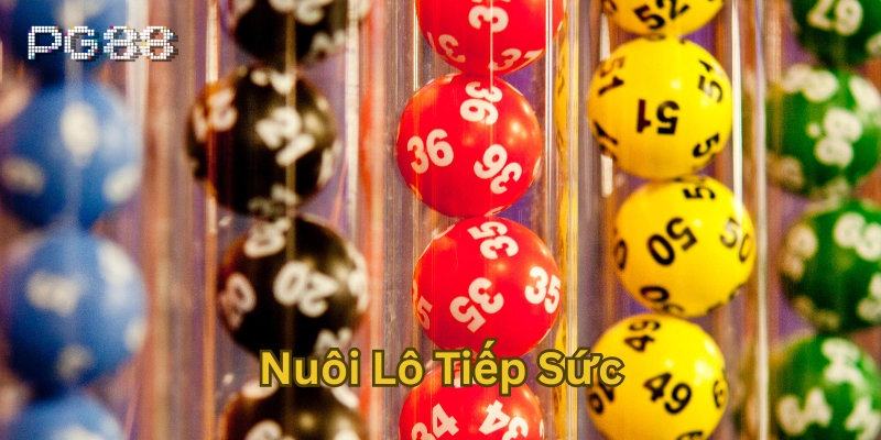 Bí Quyết Nuôi Lô Tiếp Sức Bạch Thủ Khung 7 Ngày Hiệu Quả Nuôi Lô Tiếp Sức là gì?