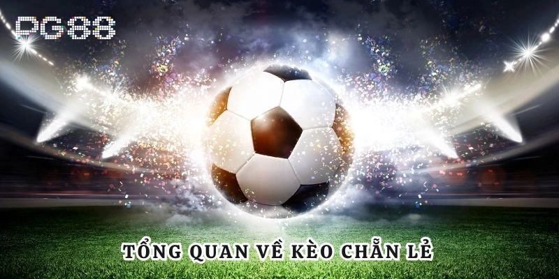 Kèo Chẵn Lẻ - Cách Chơi Chi Tiết Và Bí Quyết Chiến Thắng Tổng quan về kèo chẵn lẻ