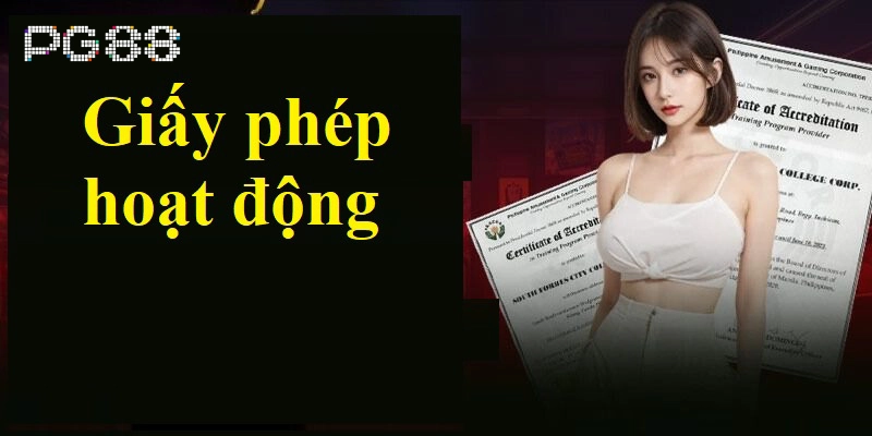 Giấy phép kinh doanh Vai trò quan trọng giấy phép kinh doanh