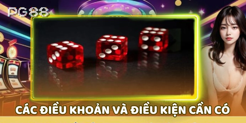 Khuyến mãi Các điều khoản và điều kiện cần có